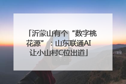 沂蒙山有个“数字桃花源”：山东联通AI让小山村C位出道