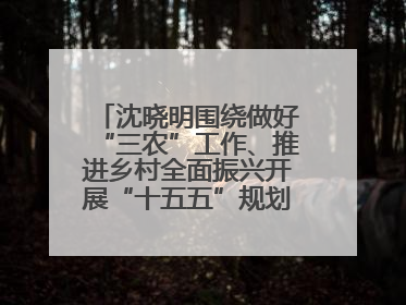 沈晓明围绕做好“三农”工作、推进乡村全面振兴开展“十五五”规划专题调研