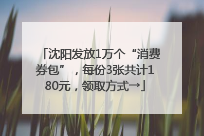 沈阳发放1万个“消费券包”，每份3张共计180元，领取方式→
