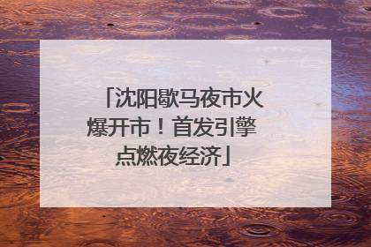 沈阳歇马夜市火爆开市！首发引擎点燃夜经济