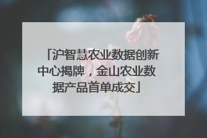 沪智慧农业数据创新中心揭牌，金山农业数据产品首单成交
