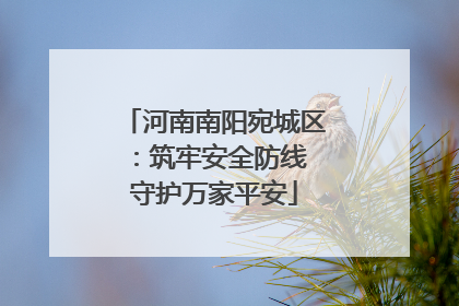 河南南阳宛城区：筑牢安全防线 守护万家平安