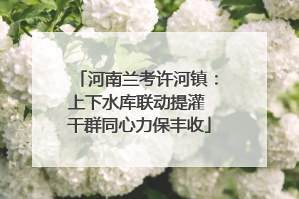 河南兰考许河镇：上下水库联动提灌 干群同心力保丰收