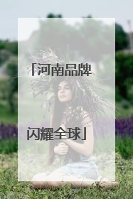河南品牌 闪耀全球