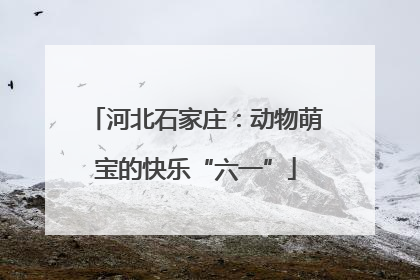 河北石家庄：动物萌宝的快乐“六一”