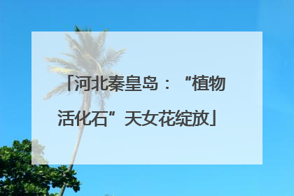 河北秦皇岛：“植物活化石”天女花绽放