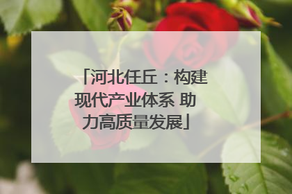 河北任丘：构建现代产业体系 助力高质量发展