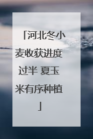 河北冬小麦收获进度过半 夏玉米有序种植