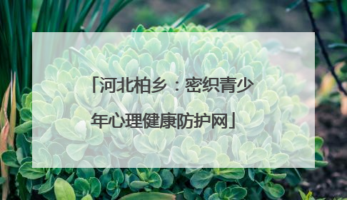 河北柏乡：密织青少年心理健康防护网