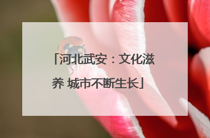 河北武安：文化滋养 城市不断生长