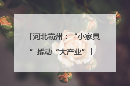 河北霸州：“小家具”撬动“大产业”