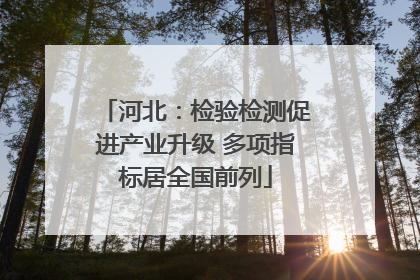 河北：检验检测促进产业升级 多项指标居全国前列