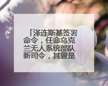 泽连斯基签署命令，任命乌克兰无人系统部队新司令，其曾是商界大佬