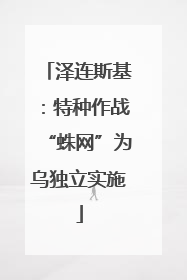 泽连斯基：特种作战“蛛网”为乌独立实施
