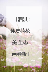 泗洪：仲夏荷花美 生态画卷新