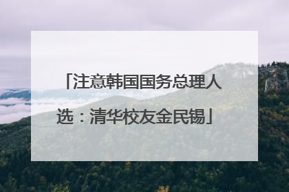 注意韩国国务总理人选：清华校友金民锡