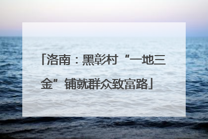 洛南：黑彰村“一地三金”铺就群众致富路