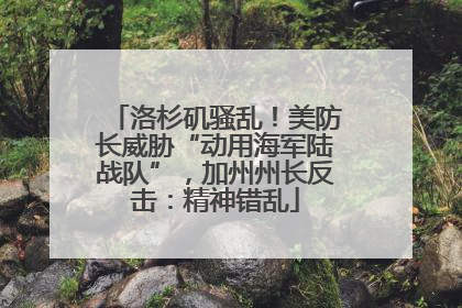 洛杉矶骚乱！美防长威胁“动用海军陆战队”，加州州长反击：精神错乱