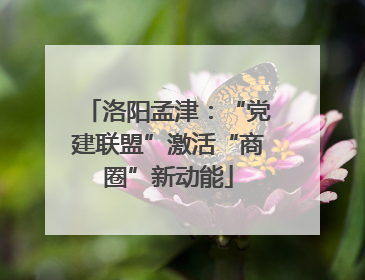 洛阳孟津：“党建联盟”激活“商圈”新动能