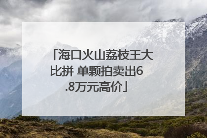 海口火山荔枝王大比拼 单颗拍卖出6.8万元高价