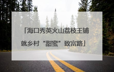 海口秀英火山荔枝王铺就乡村“甜蜜”致富路