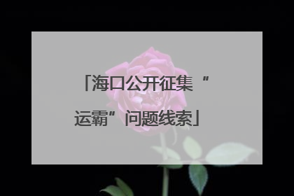 海口公开征集“运霸”问题线索