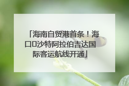 海南自贸港首条！海口⇌沙特阿拉伯吉达国际客运航线开通