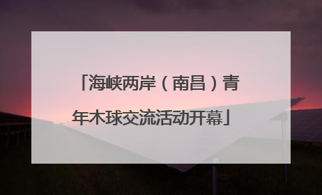 海峡两岸（南昌）青年木球交流活动开幕