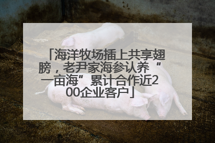 海洋牧场插上共享翅膀，老尹家海参认养“一亩海”累计合作近200企业客户