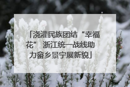 浇灌民族团结“幸福花” 浙江统一战线助力畲乡景宁展新貌