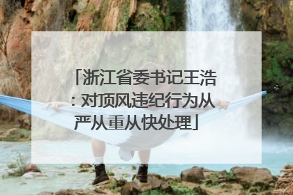 浙江省委书记王浩：对顶风违纪行为从严从重从快处理