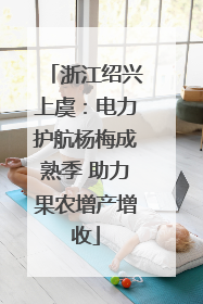 浙江绍兴上虞：电力护航杨梅成熟季 助力果农增产增收