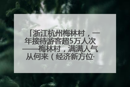浙江杭州梅林村，一年接待游客超5万人次——梅林村，满满人气从何来（经济新方位·农村消费观察）
