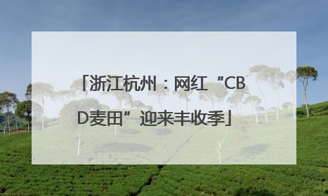 浙江杭州：网红“CBD麦田”迎来丰收季