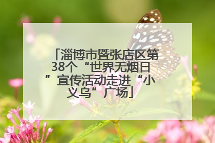 淄博市暨张店区第38个“世界无烟日”宣传活动走进“小义乌”广场