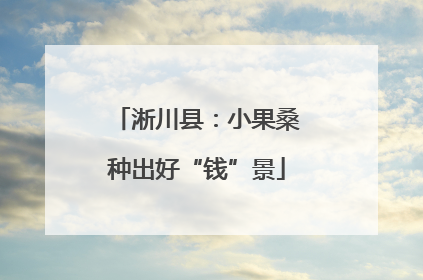 淅川县：小果桑种出好“钱”景