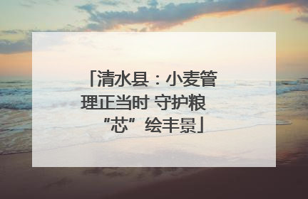 清水县：小麦管理正当时 守护粮“芯”绘丰景