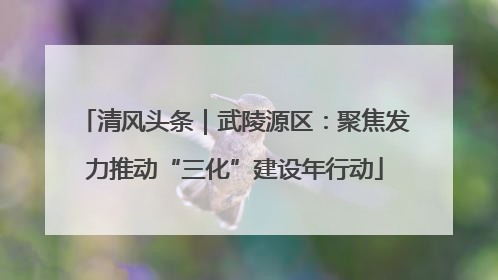 清风头条｜武陵源区：聚焦发力推动“三化”建设年行动