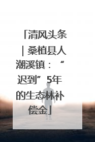 清风头条｜桑植县人潮溪镇：“迟到”5年的生态林补偿金