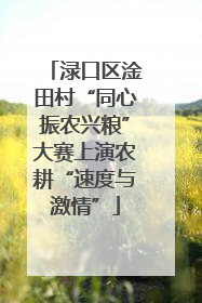 渌口区淦田村“同心振农兴粮”大赛上演农耕“速度与激情”