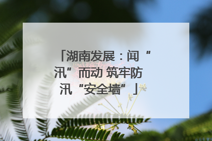 湖南发展：闻“汛”而动 筑牢防汛“安全墙”