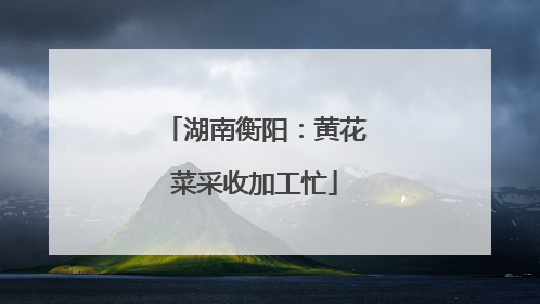 湖南衡阳：黄花菜采收加工忙