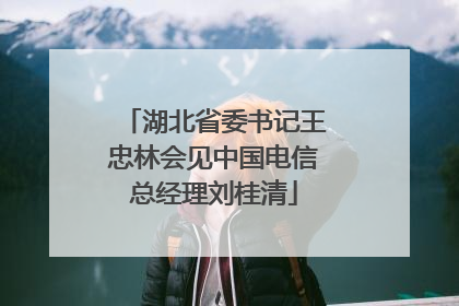 湖北省委书记王忠林会见中国电信总经理刘桂清