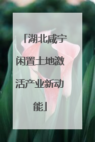 湖北咸宁闲置土地激活产业新动能