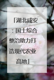 湖北咸安：国土综合整治助力打造现代农业高地