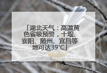 湖北天气：高温黄色省级预警，十堰、襄阳、随州、宜昌等地可达39℃