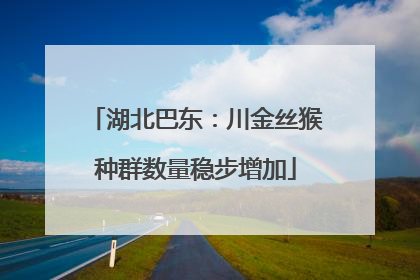 湖北巴东：川金丝猴种群数量稳步增加