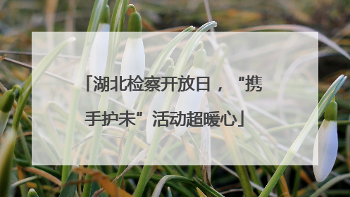 湖北检察开放日，“携手护未”活动超暖心