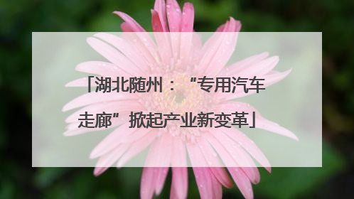 湖北随州：“专用汽车走廊”掀起产业新变革