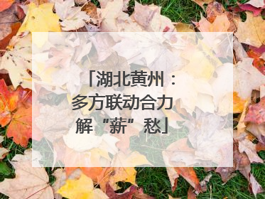 湖北黄州：多方联动合力解“薪”愁